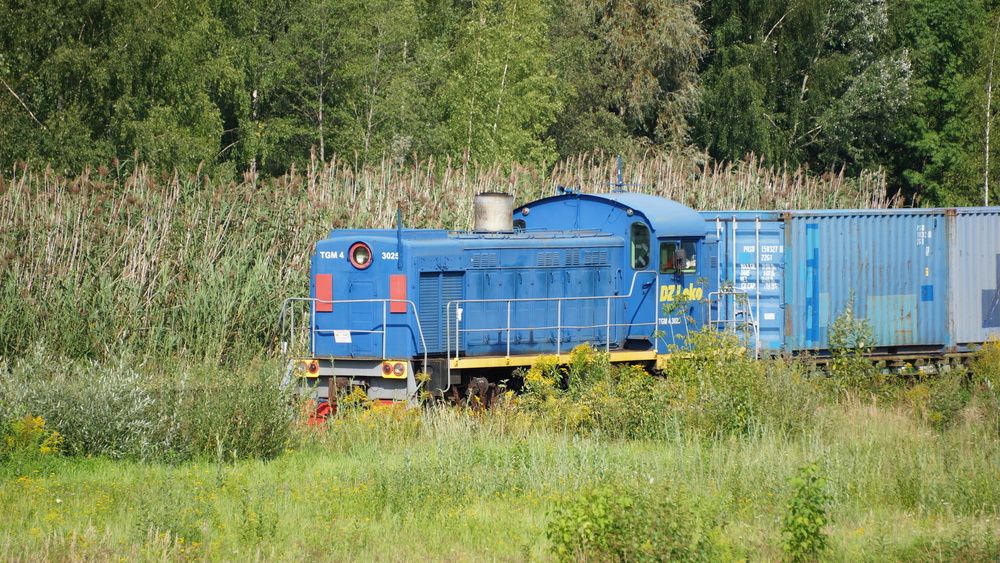 Фотография автора Igors Rostikovs