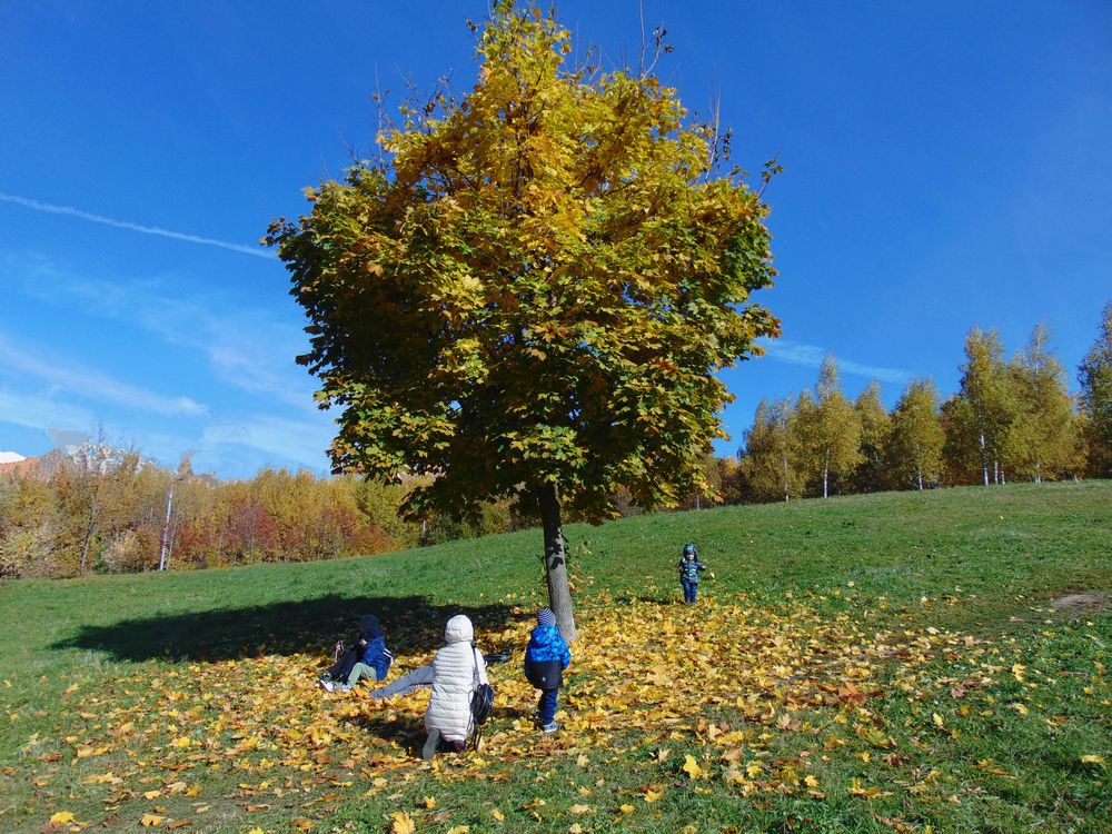 Photograph by Алена