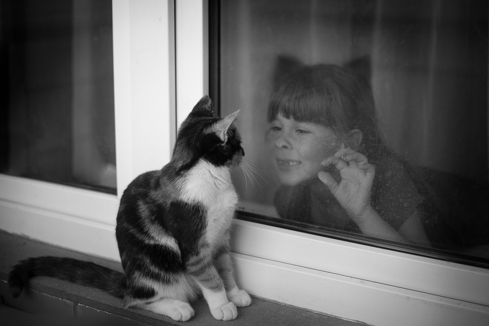 Photograph by Елена Горева