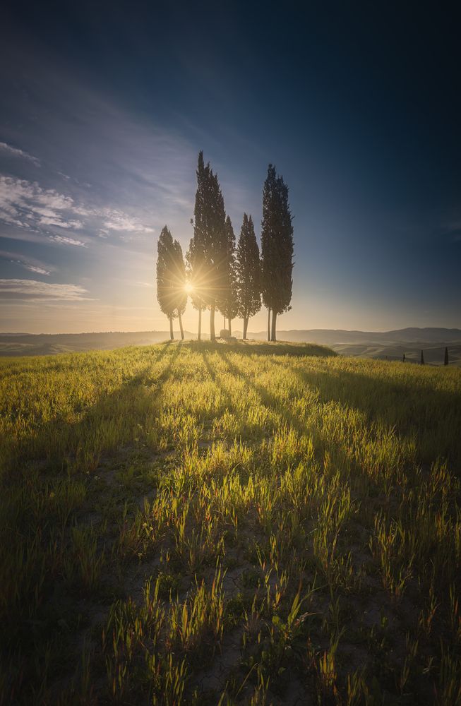 Photograph by Antonello Alò