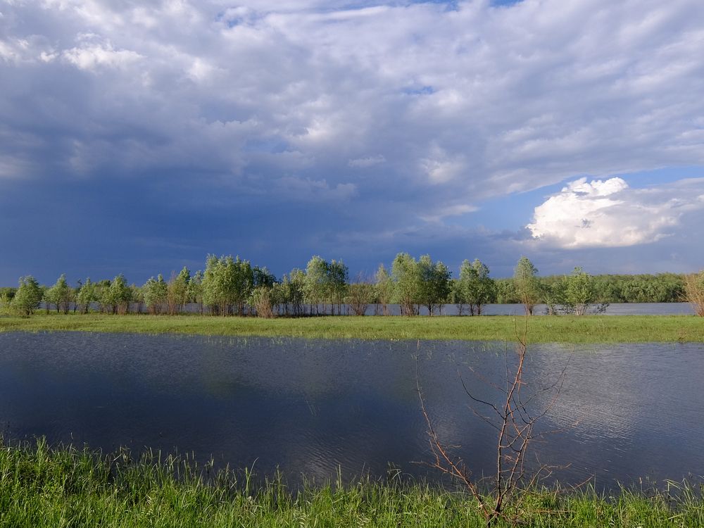 Photograph by Наталья Веселкина