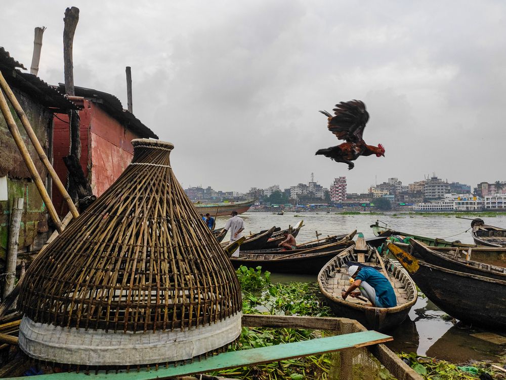 Photograph by neer photos