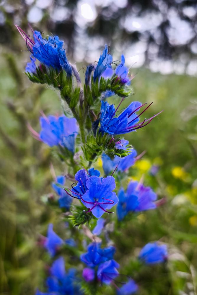 Photograph by Наталья Веселкина