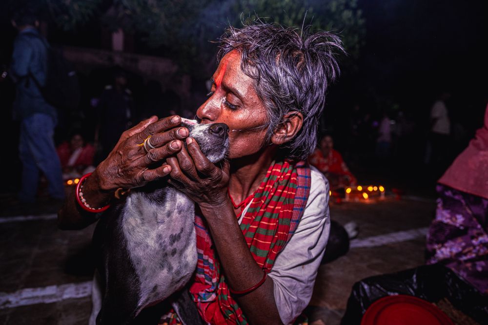 Photograph by neer photos