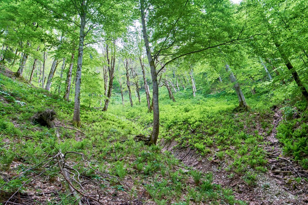 Photograph by Юрий Эйченко