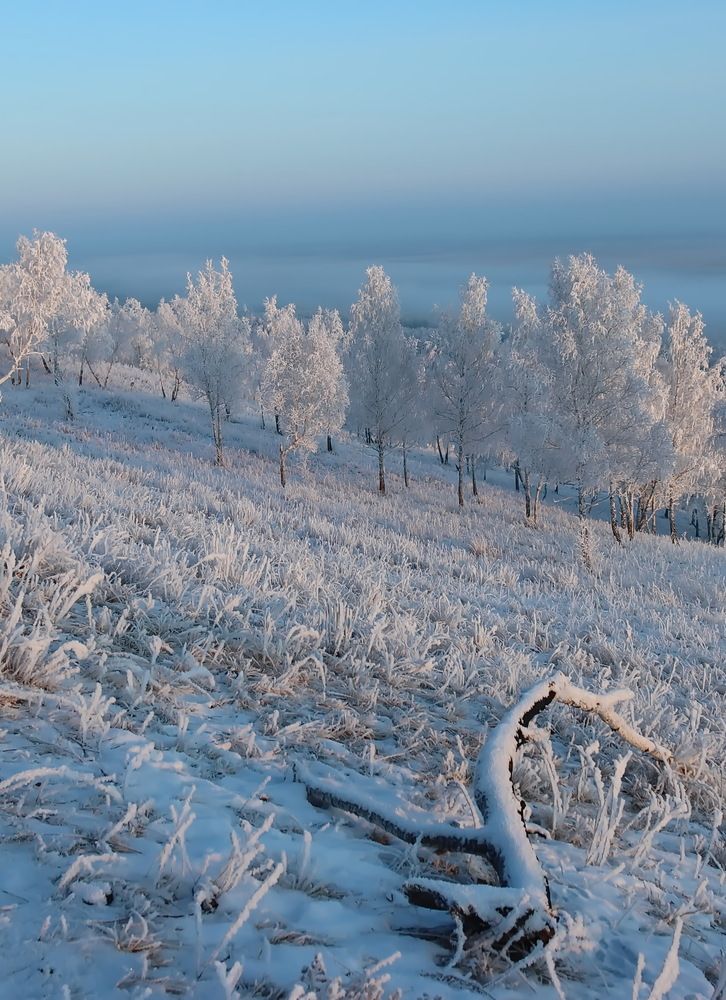 Photograph by Наталья Юрова