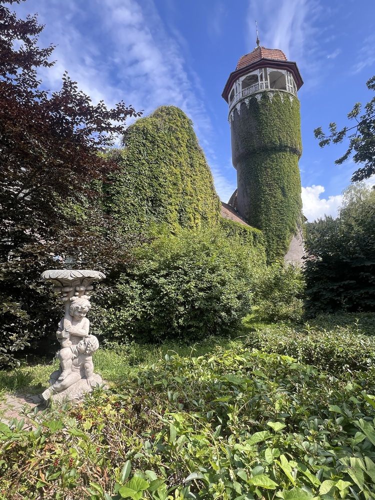 Photograph by Kira Ko