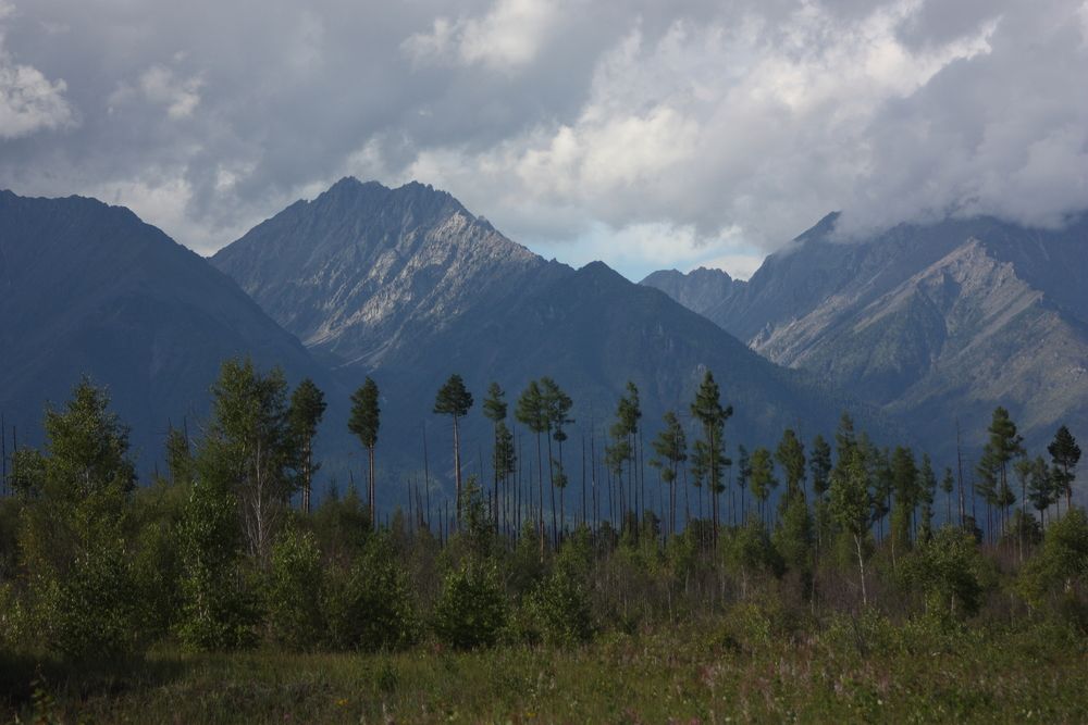Photograph by Алексей Банных