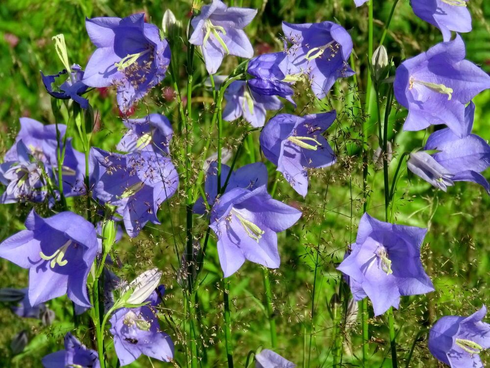 Фотография автора Валерия Яскович