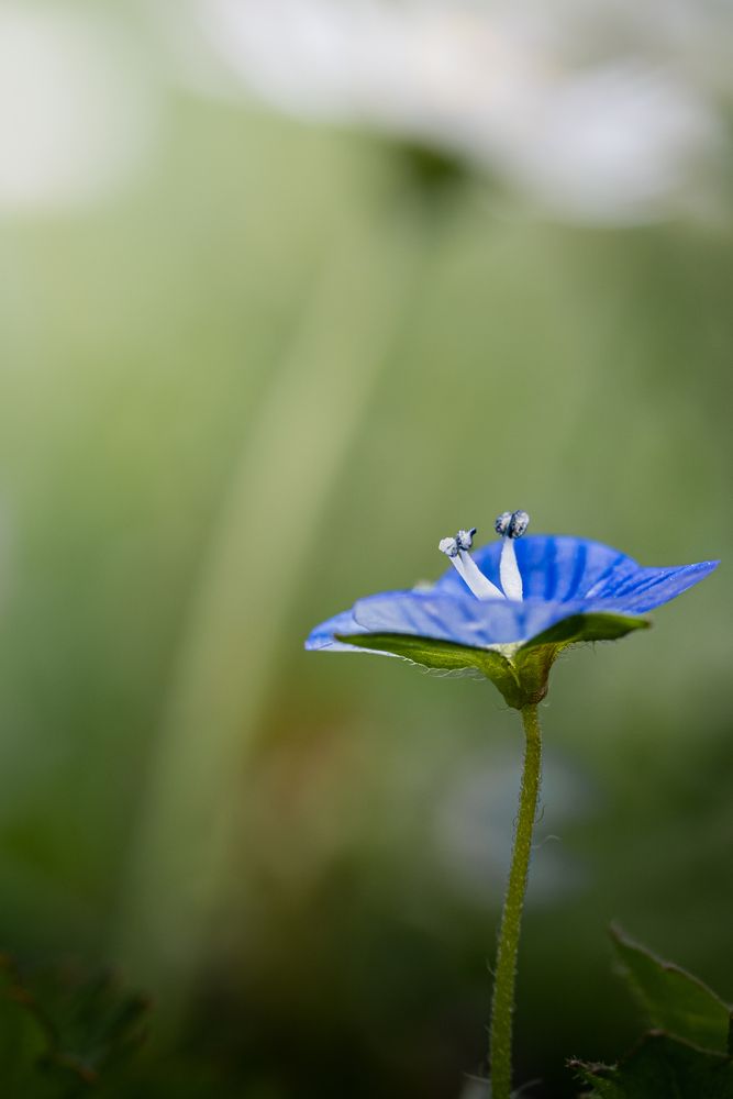 Photograph by Veronika Biró