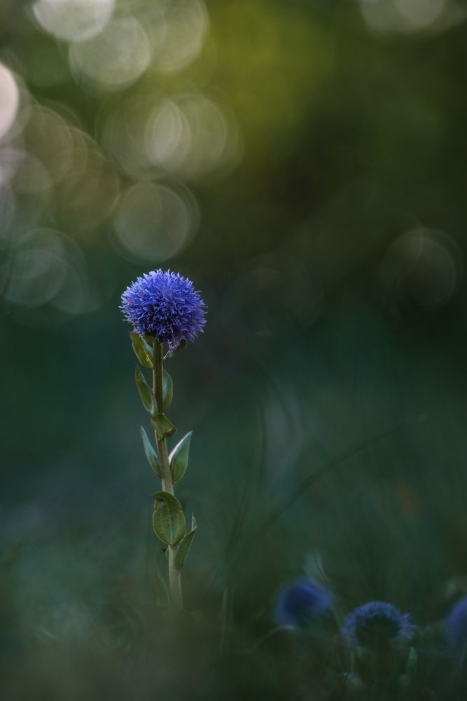 Photograph by Veronika Biró