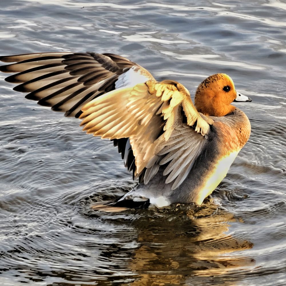 Photograph by Оксана Машкина