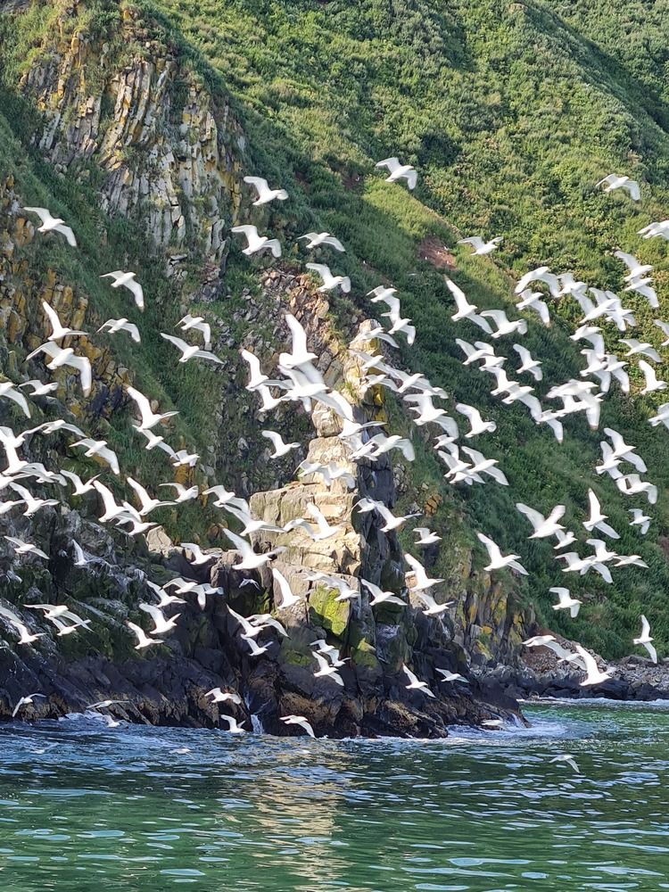 Photograph by Ирина Хлебникова