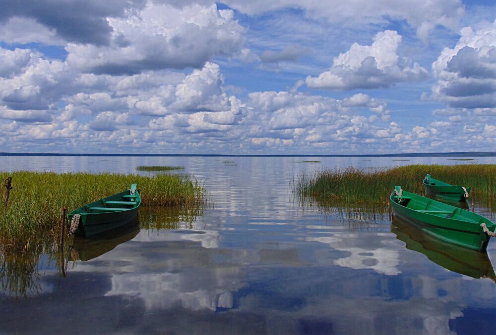 Photograph by Алена