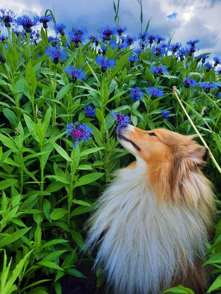 Фотография автора Валерия Яскович