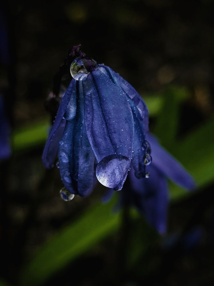 Photograph by Ирина Хлебникова