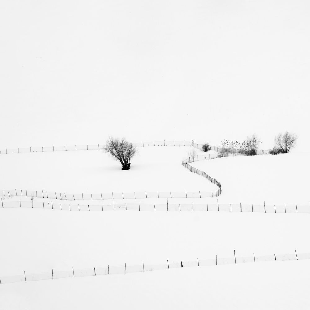 Photograph by mohammad Alipour