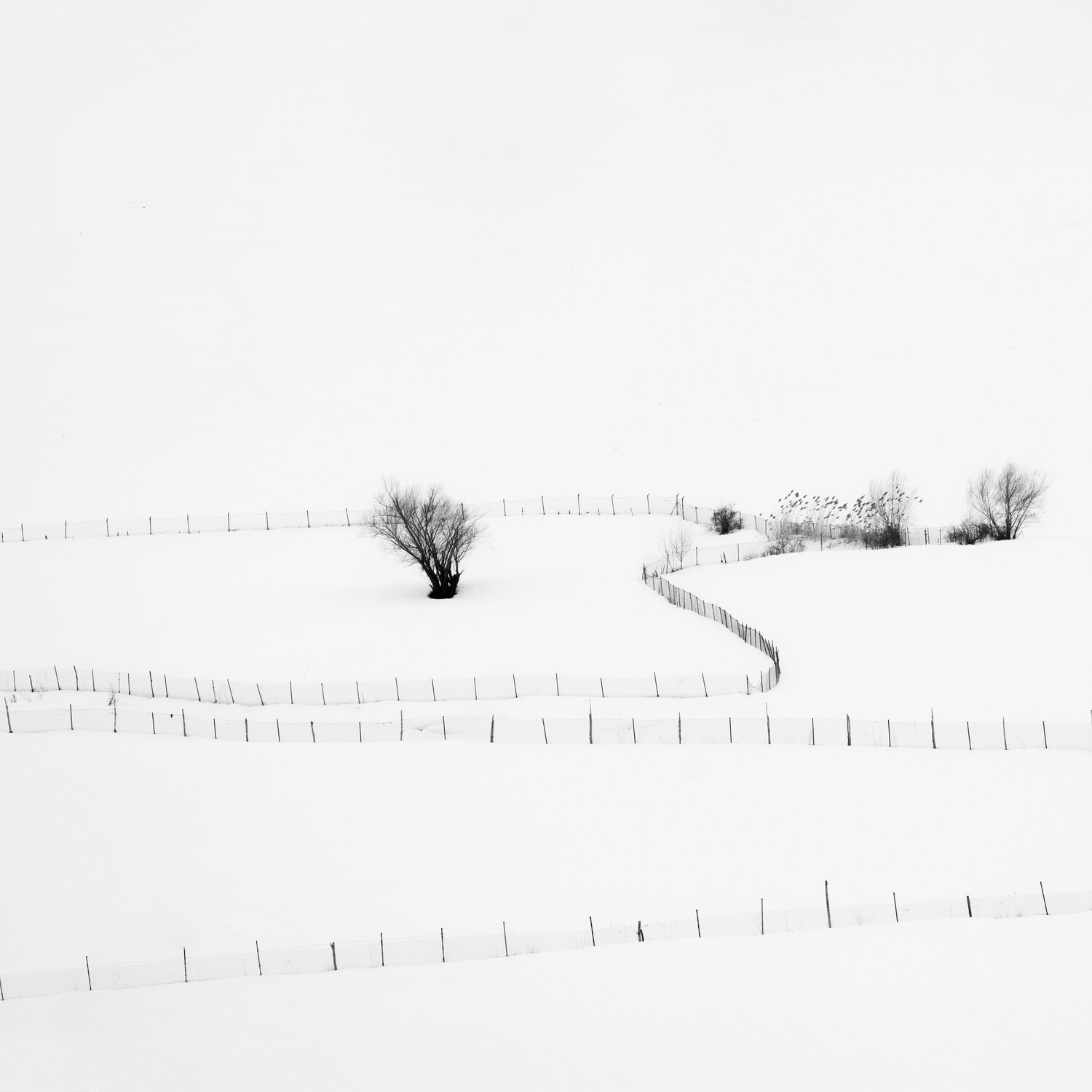 Photo #13172207