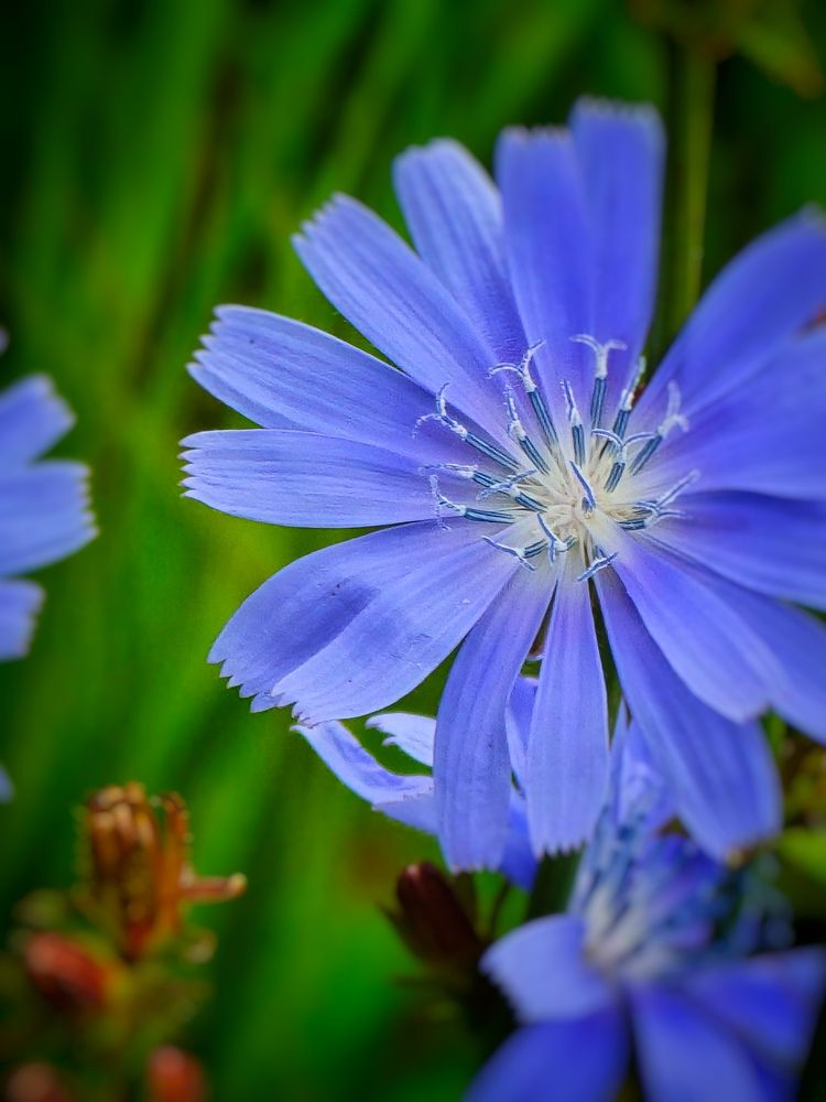 Photograph by Ирина Хлебникова