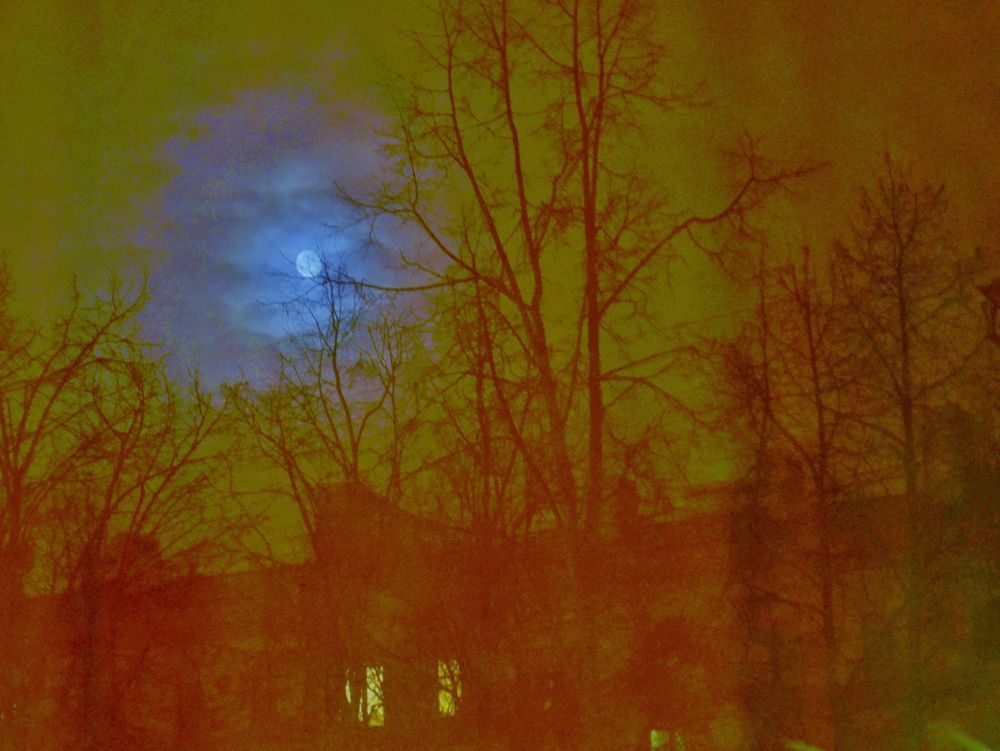 Photograph by Виталий Валентинович