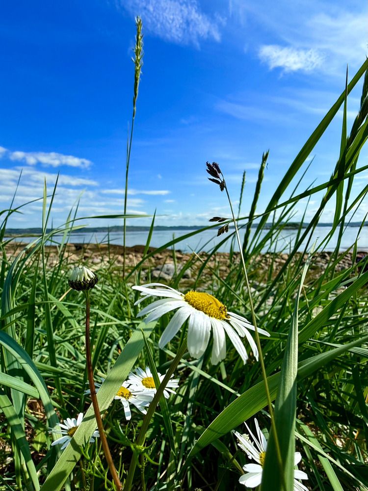 Photograph by Оксана Машкина
