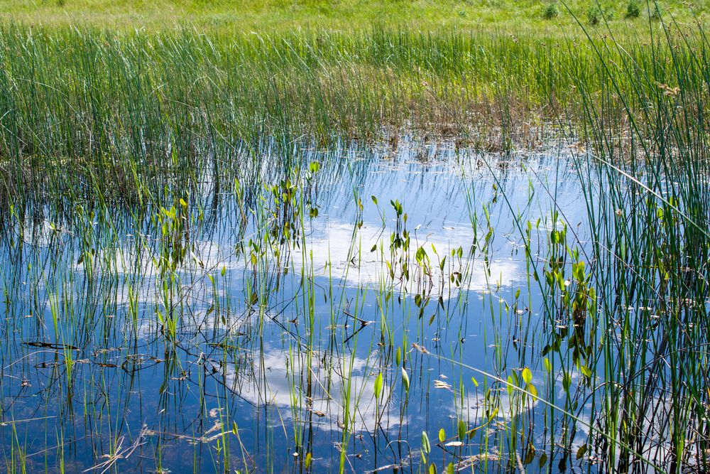 Photograph by Олег Алексеев