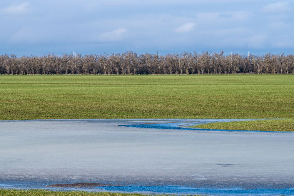Photograph by Олег Алексеев