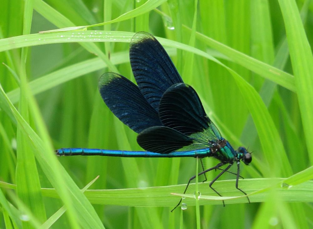 Photograph by Елена Кузина