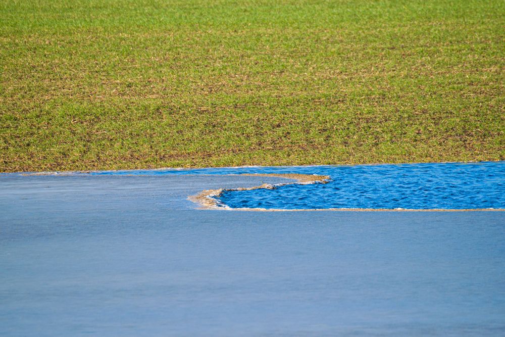 Photograph by Олег Алексеев