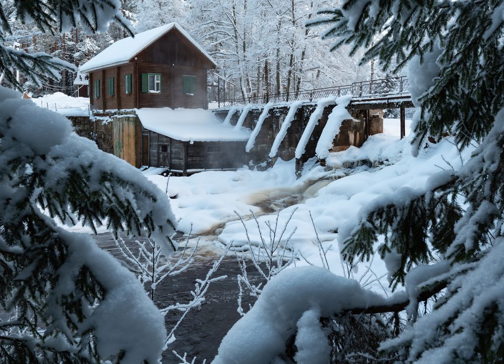 Photograph by Alexey S