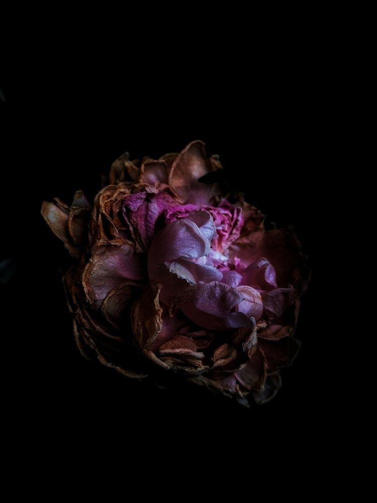 Photograph by Анна Кош