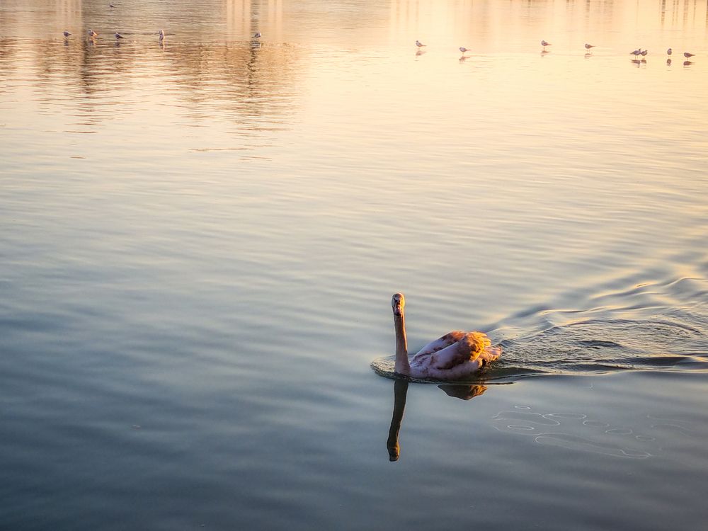 Photograph by Veronika Biró