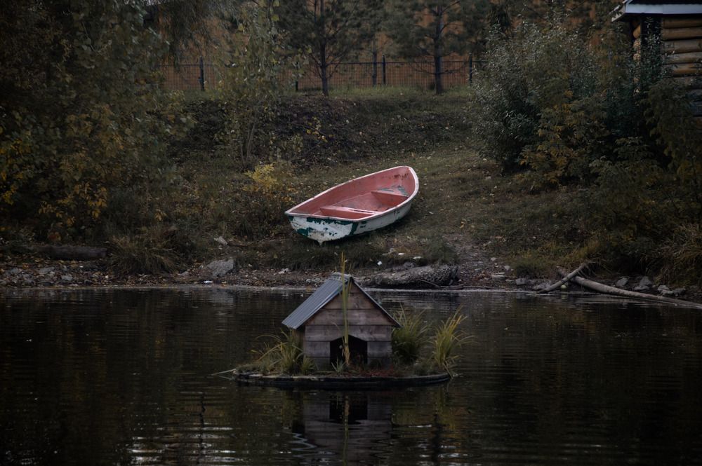 Photograph by Влада Соколова
