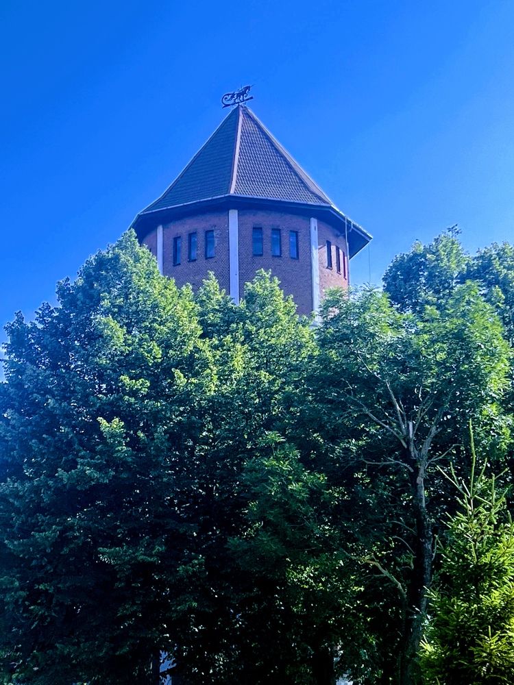 Photograph by Kira Ko