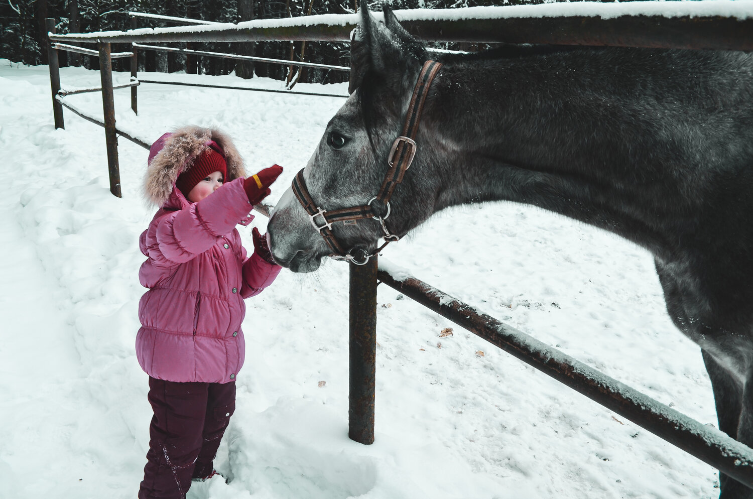 Photo #13172313