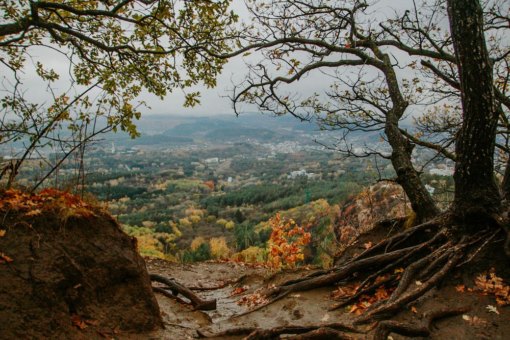 Photograph by Наталия Столяр