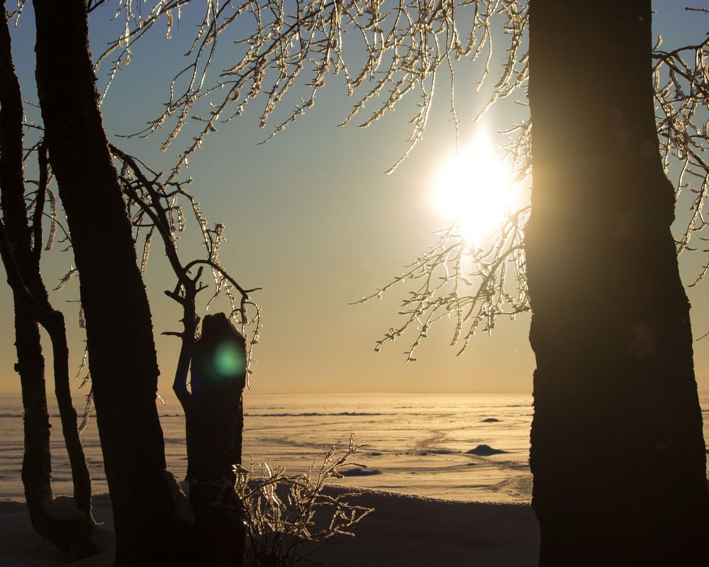 Фотография автора Надежда Надежда