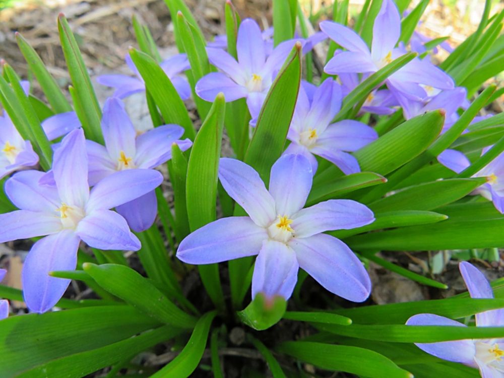 Photograph by Елена Кузина