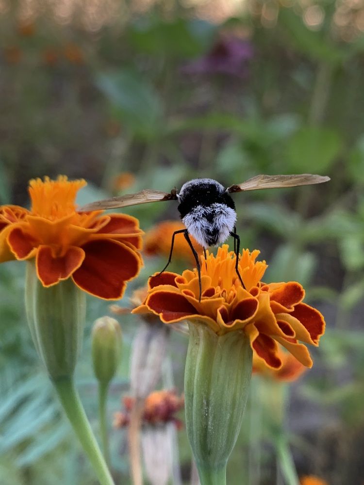 Photograph by Швец Павел