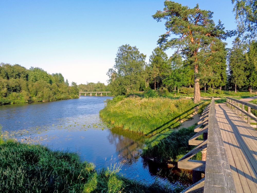 В парке Олонца.