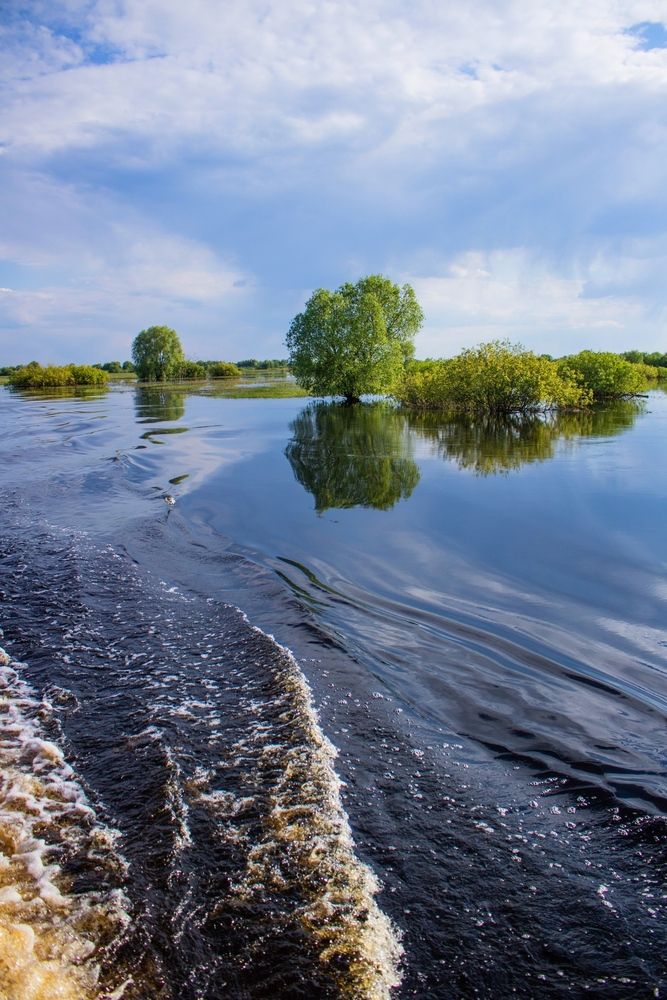 Фотография автора Виктория Трущенко