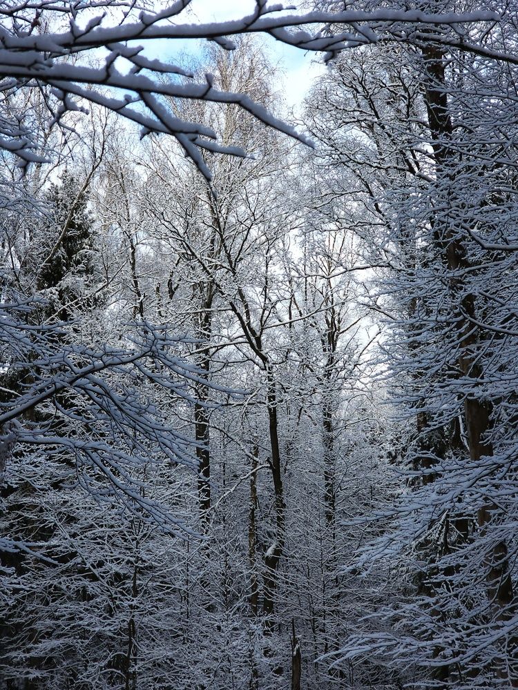 Фотография автора Natali AB