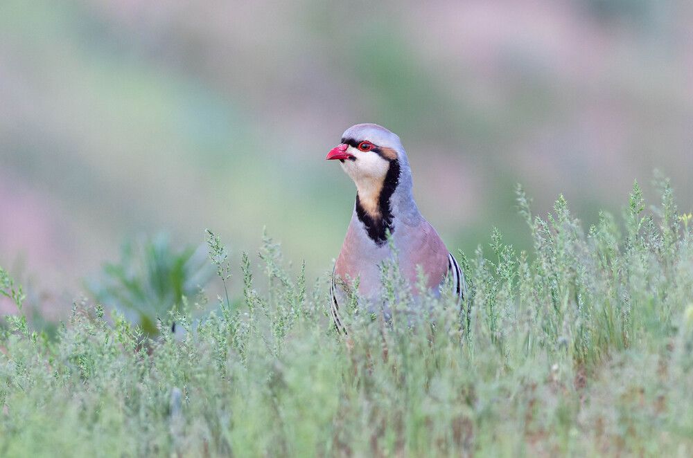 Photograph by Evgenia Sevryukova