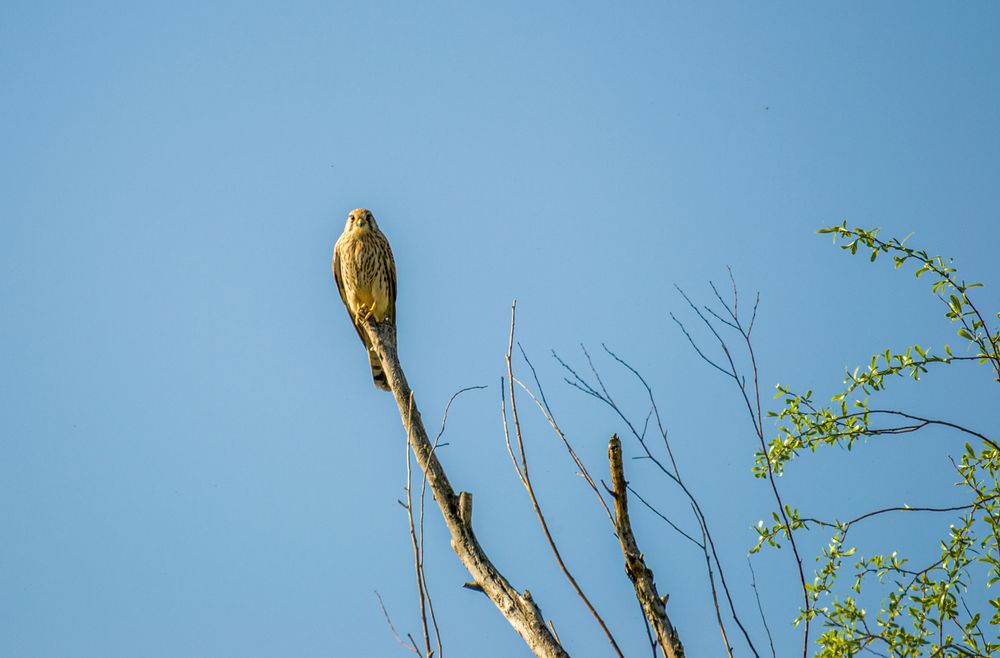 Photograph by Олег Алексеев