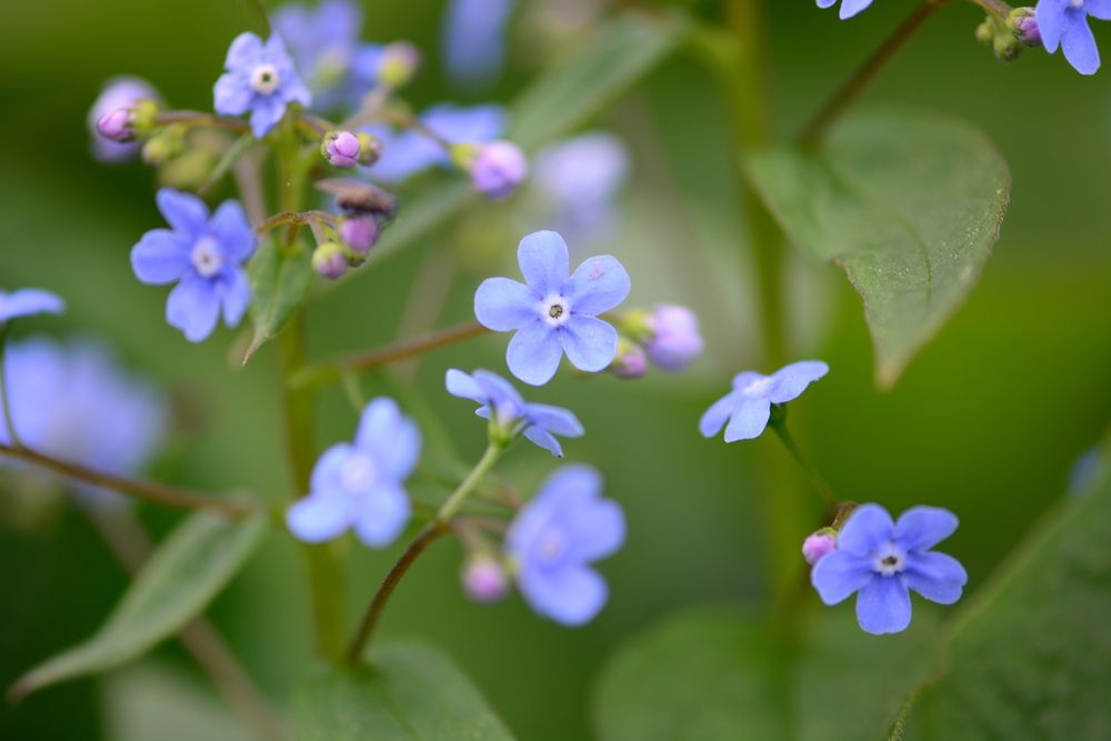 Photograph by Виктория Кос