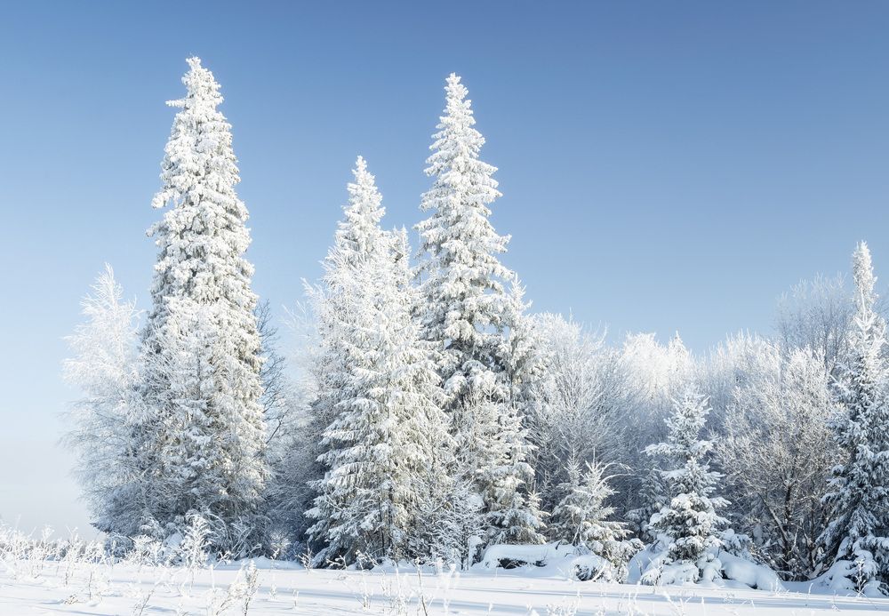 Photograph by Алексей Широбоков