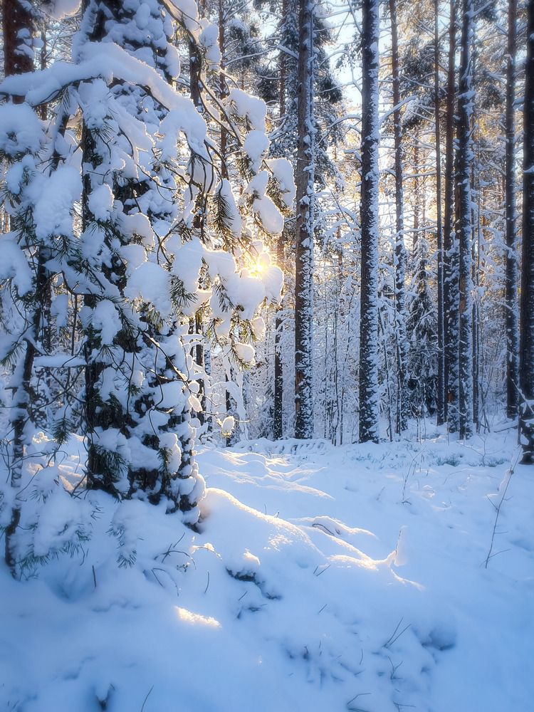 Photograph by Inna Evseeva