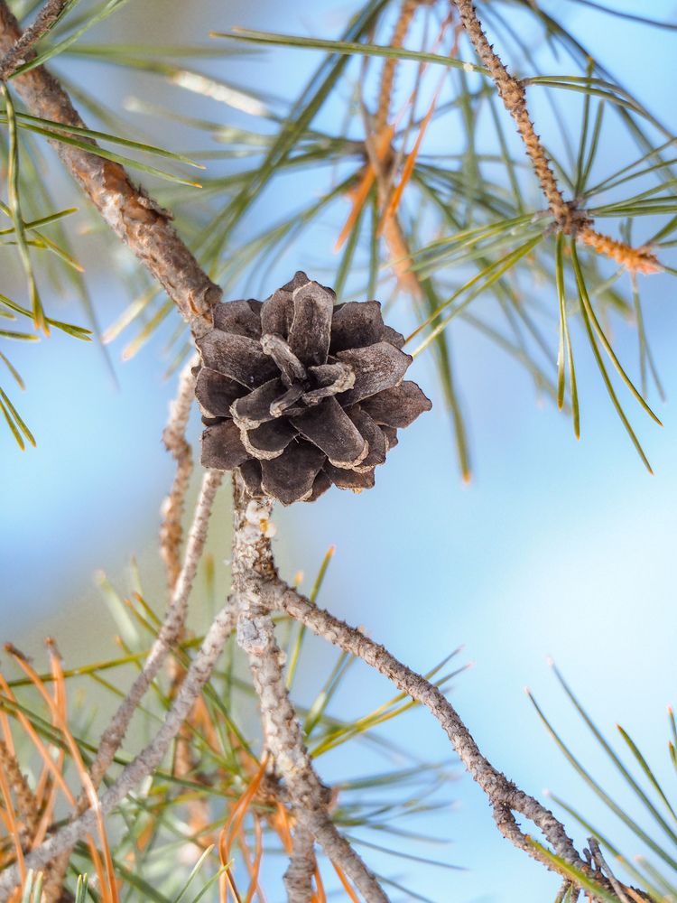 Photograph by Светлана Шибаршина