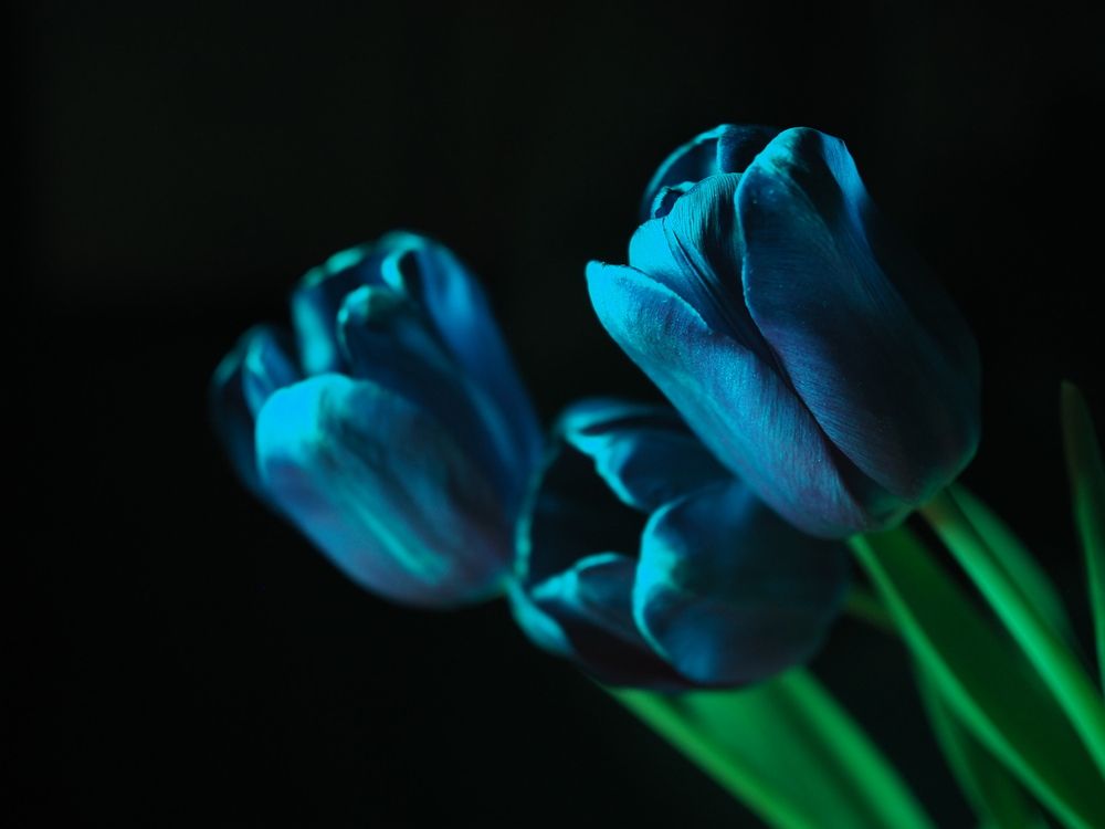 Photograph by Светлана Шибаршина