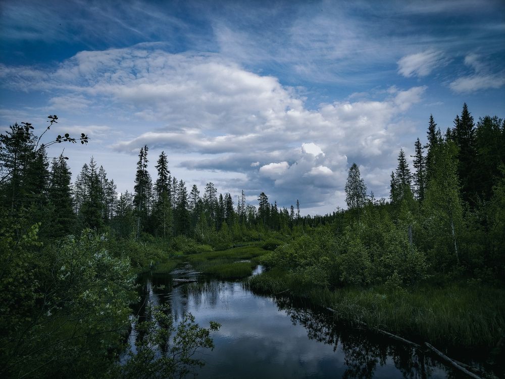Photo #13172534